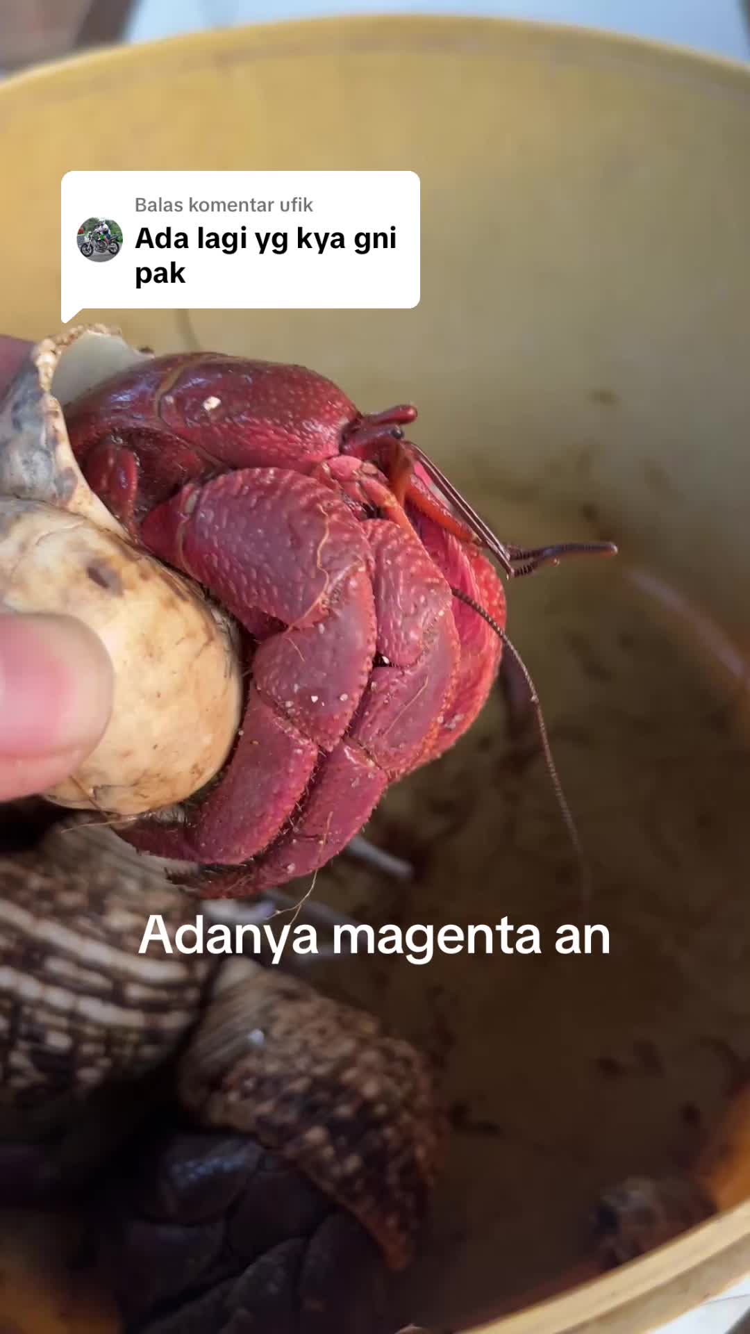 @Kudojiraiya