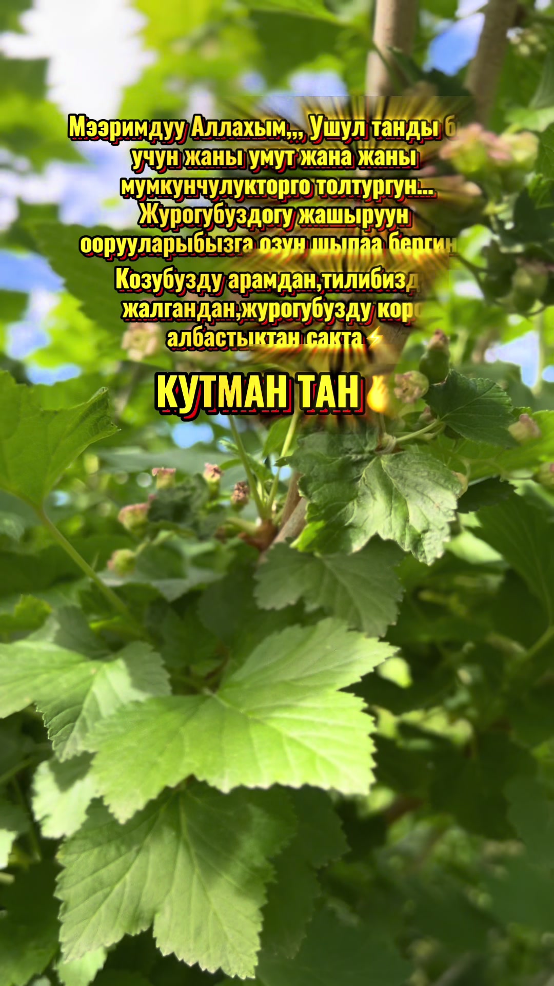 @💫💫ГУЛНАЗ 76💫💫