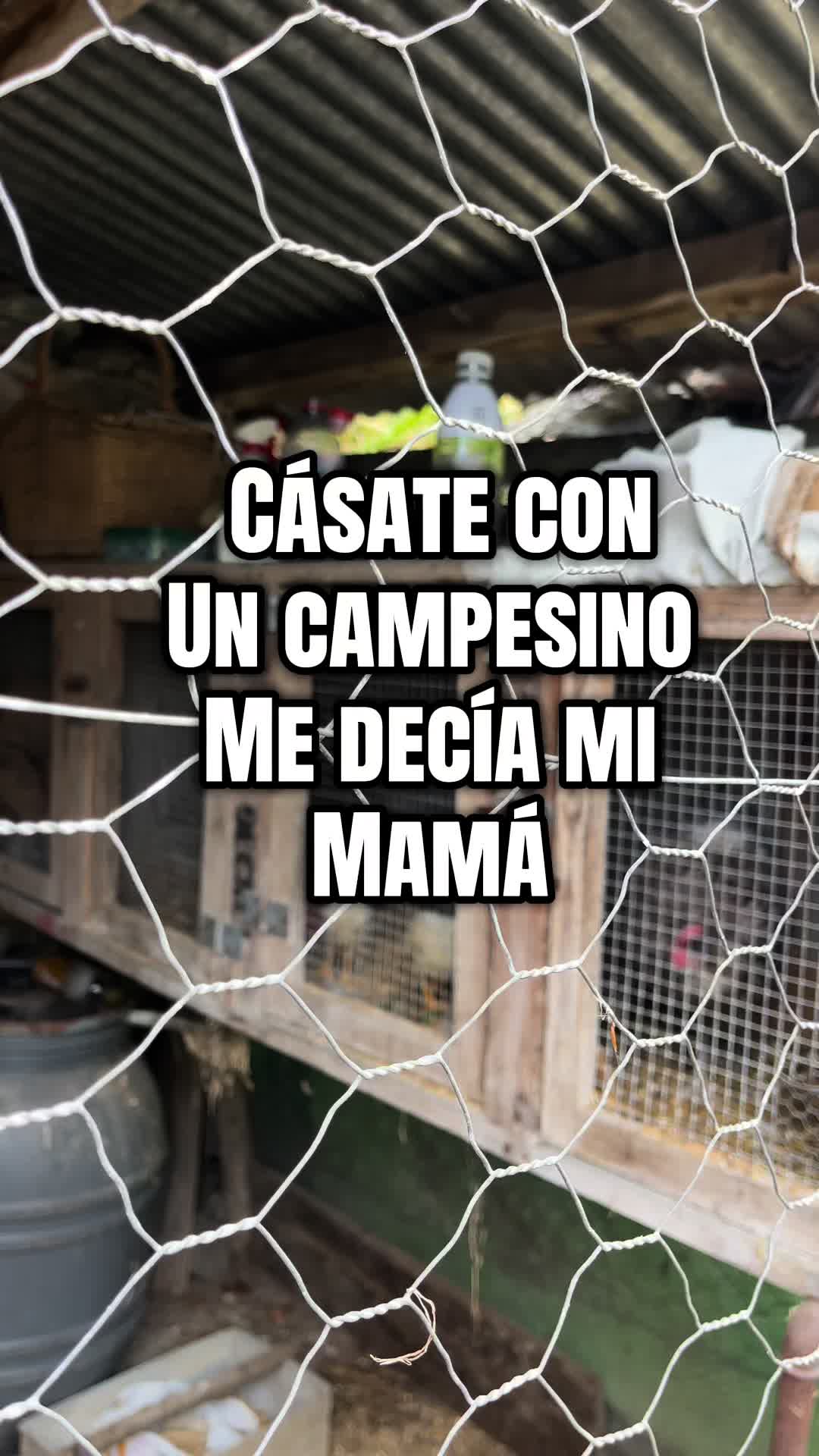 @J TURCIOS
