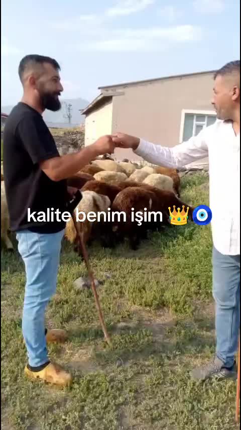 @NEVROZ KARATAY