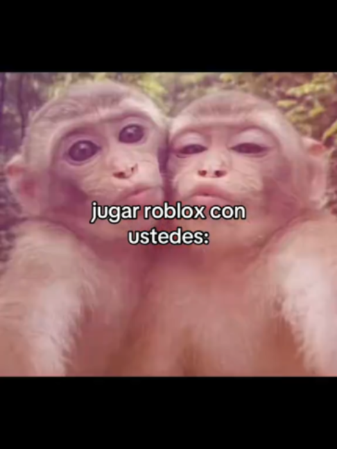 @monooaxaco