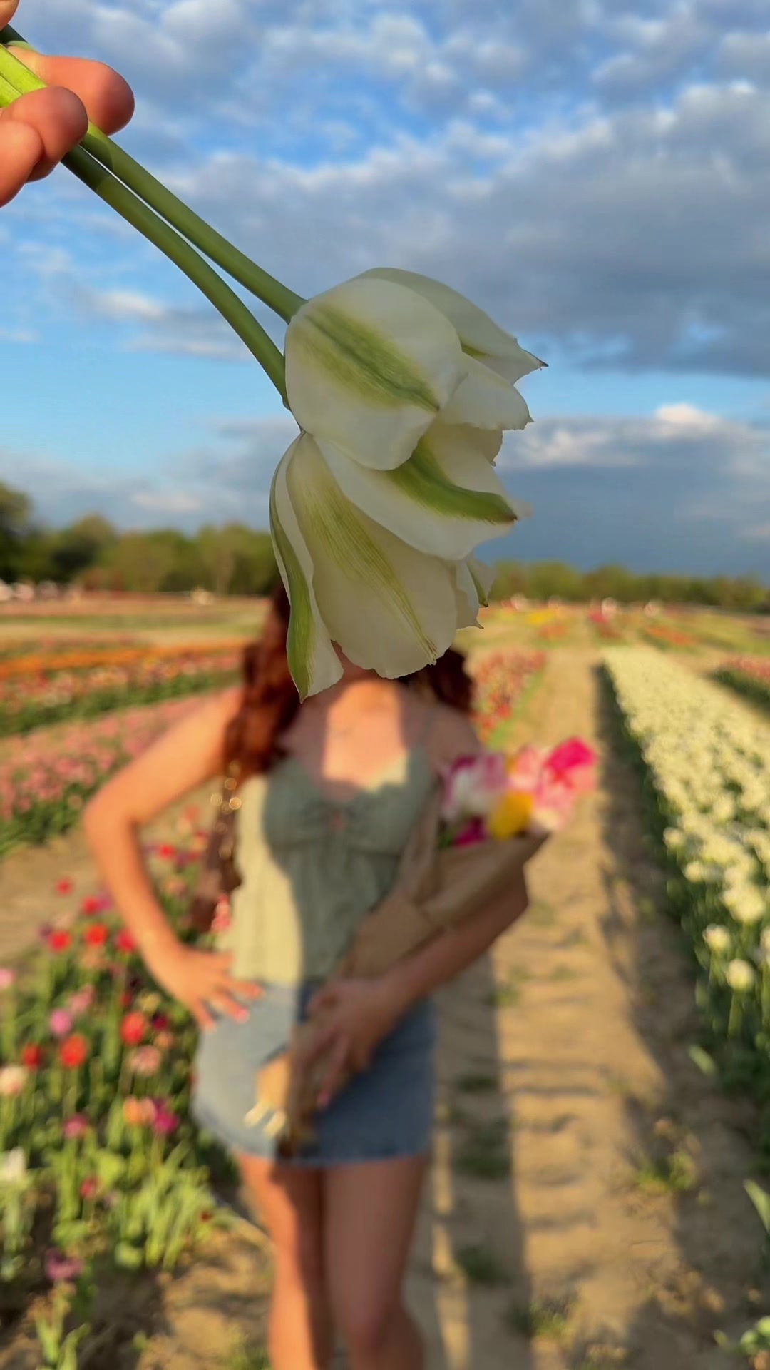 @jjocelyn ❀