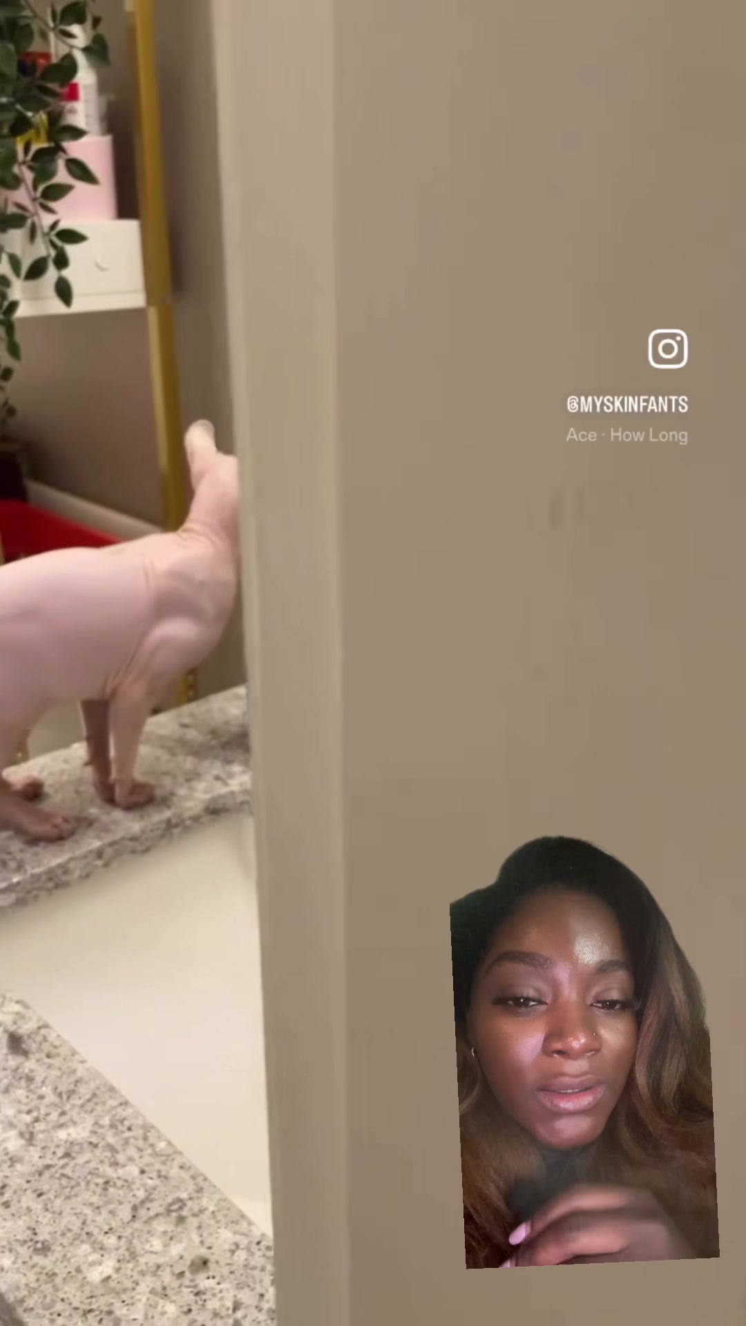 @D_talk33