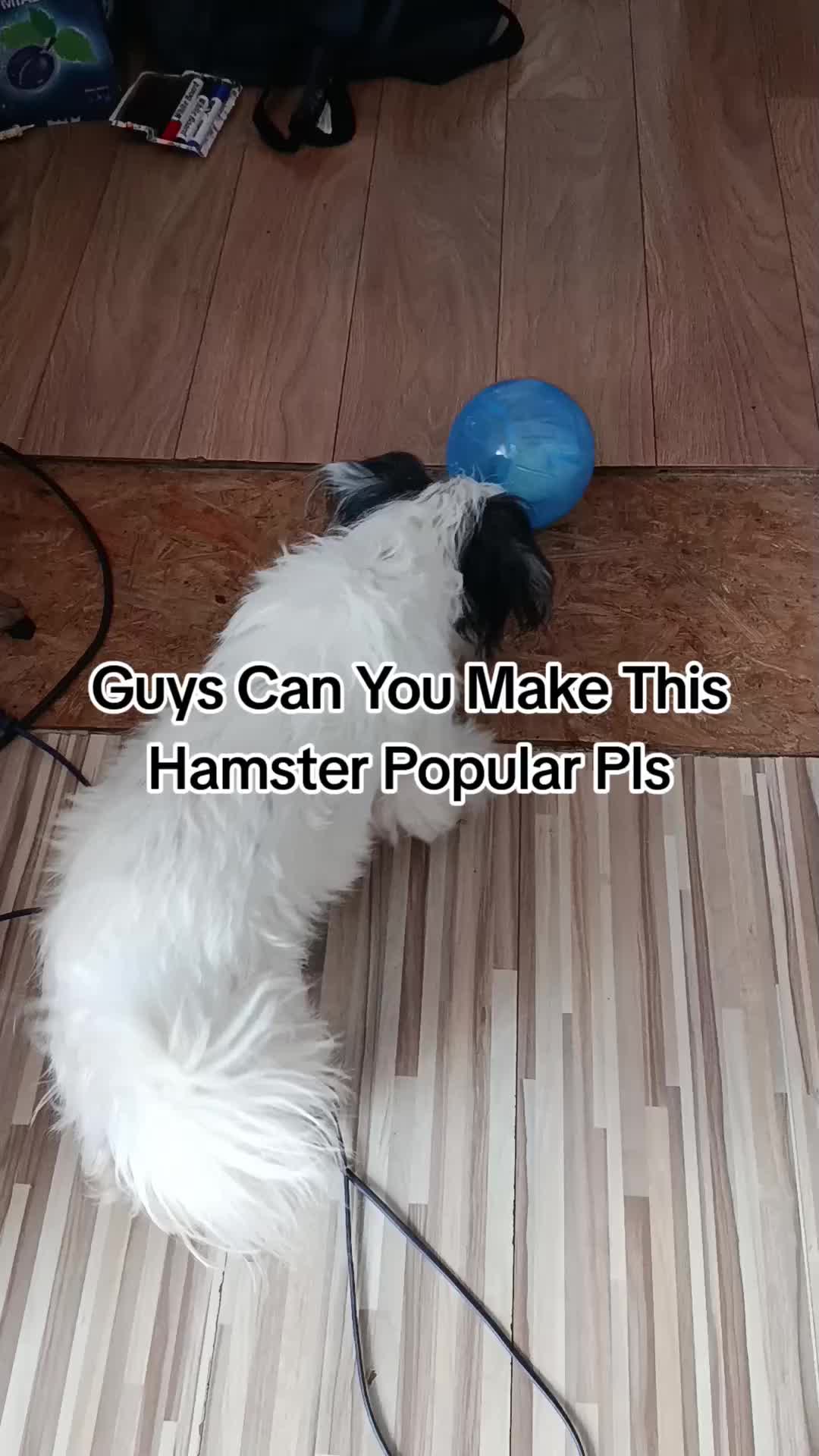 @Matowyytor