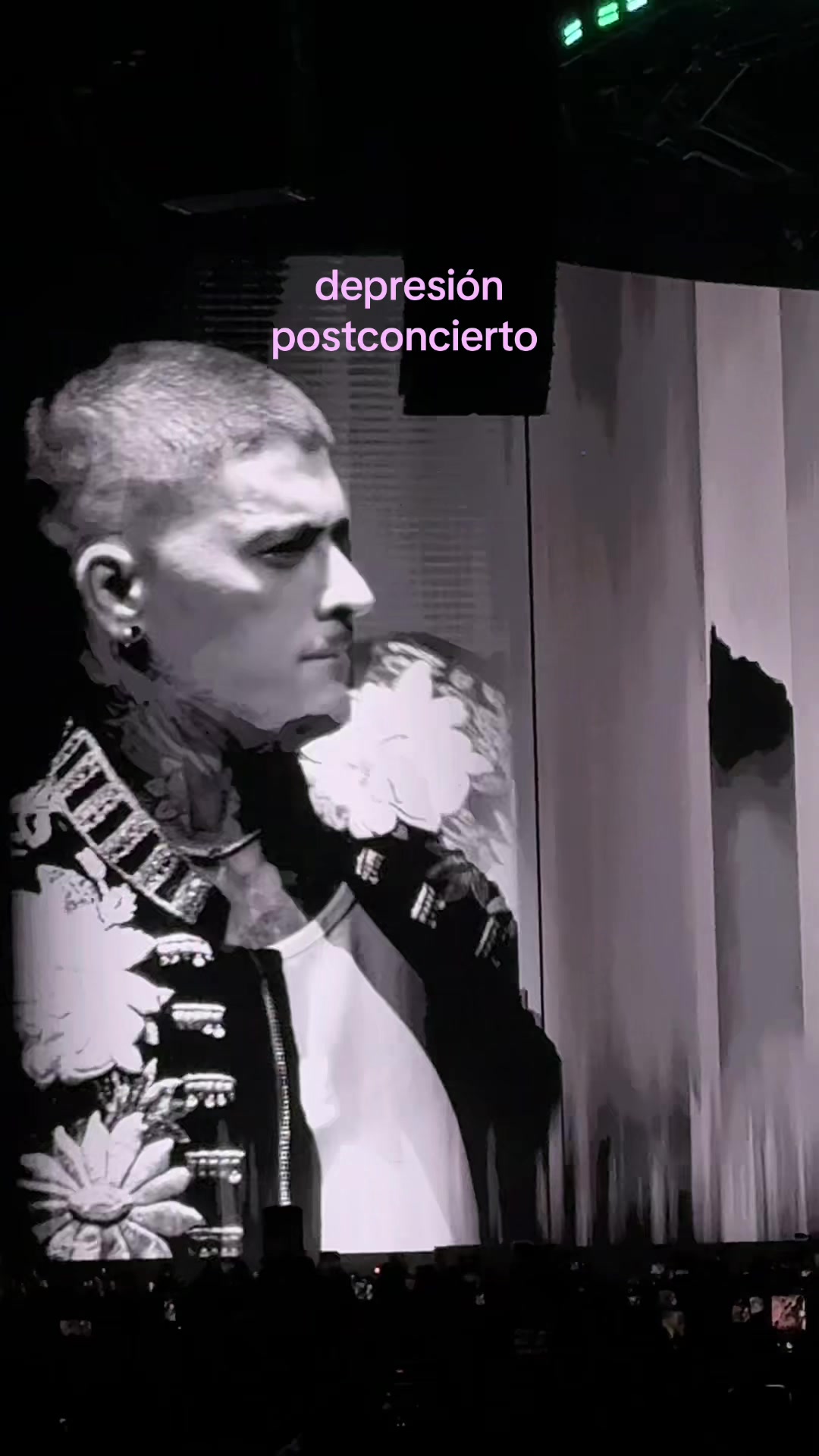 @paola_lizardi