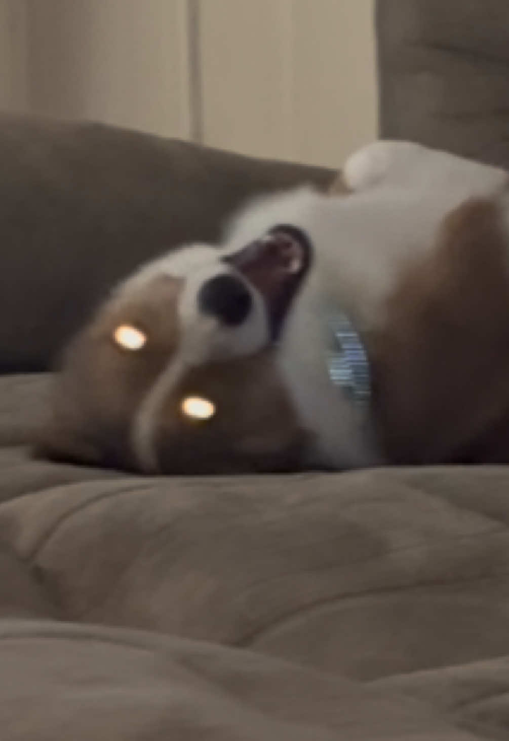 @NightmareNY