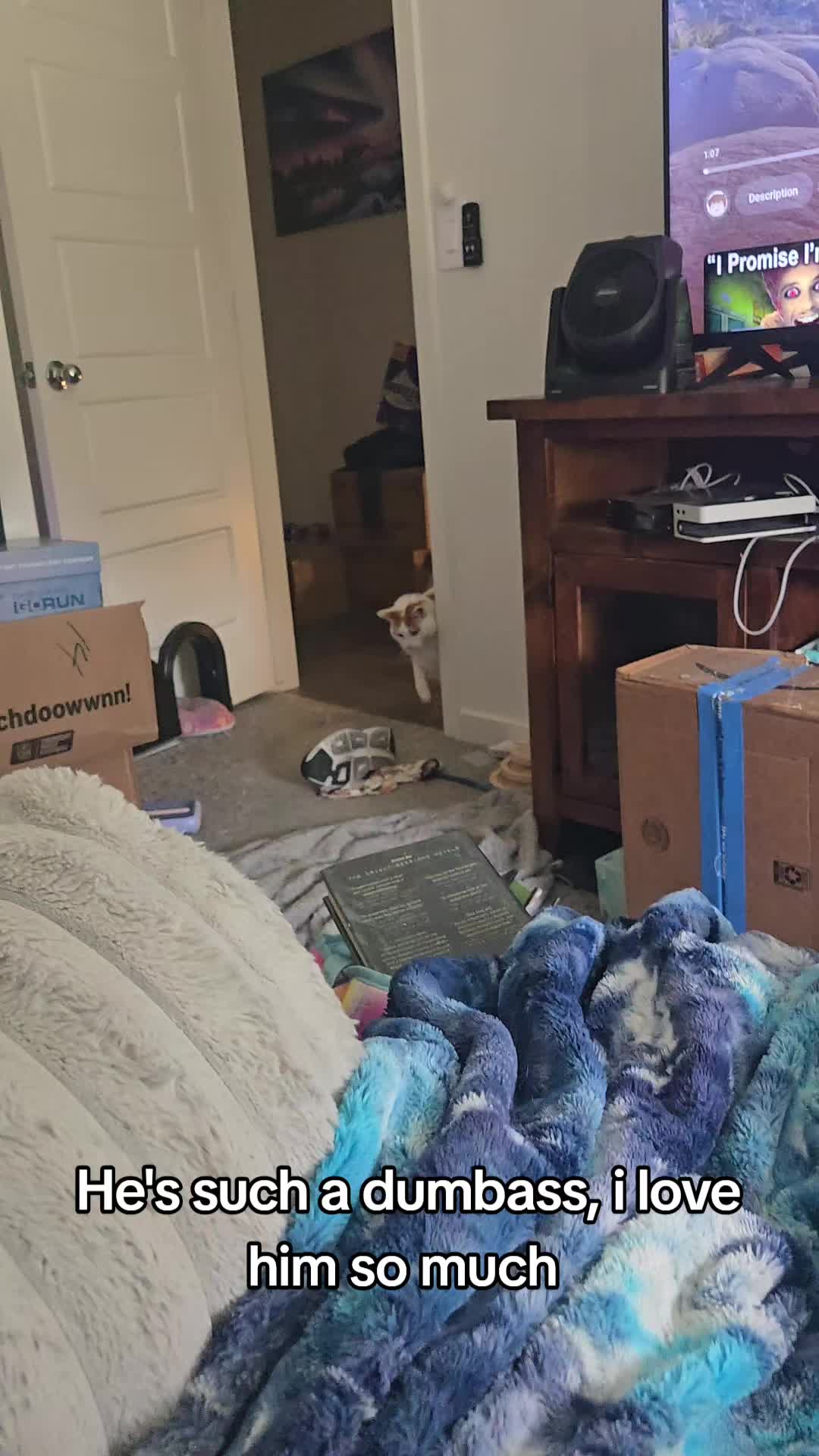 @☁️Crystalline Dreams💚🫀