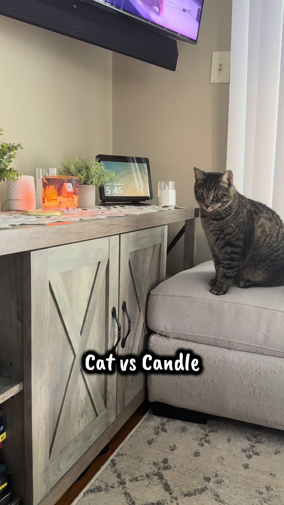 @TailsandWhiskersCo