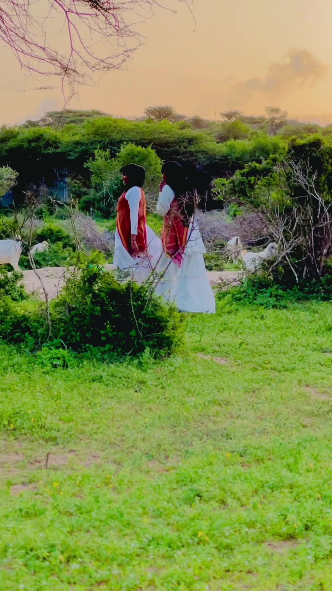 @yarta Shanta soomaliyed🇸🇴