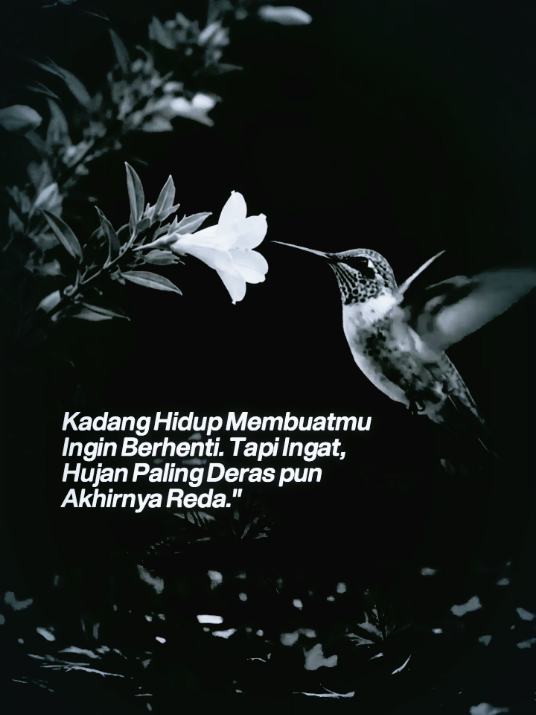 @Inisial WM