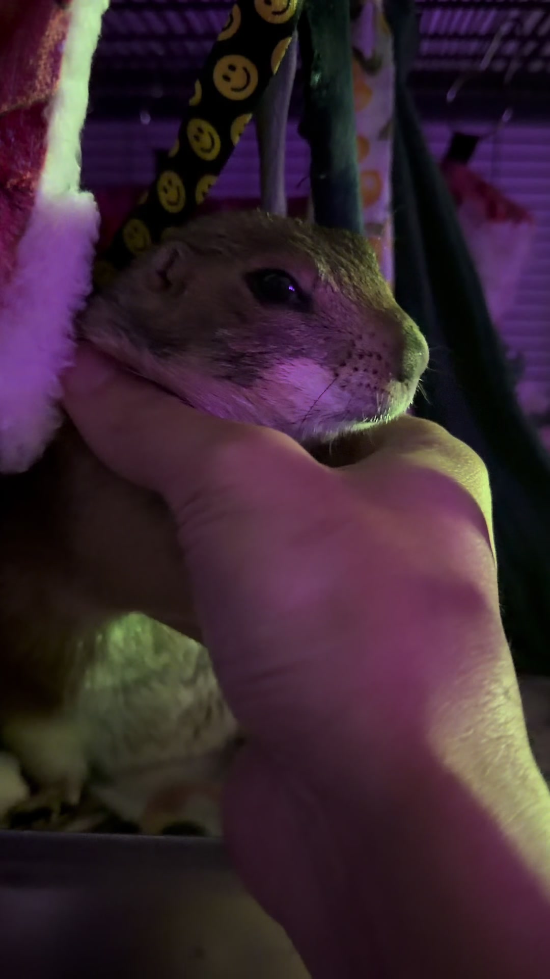 @Poppy the Prairie Dog