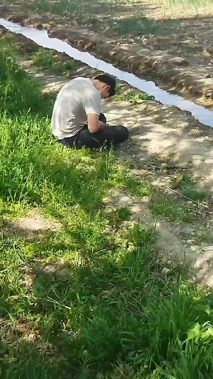@user5343614165226