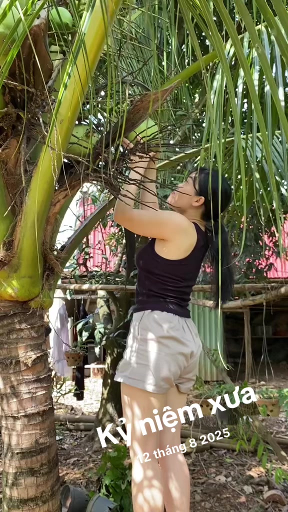 @bemayjp2