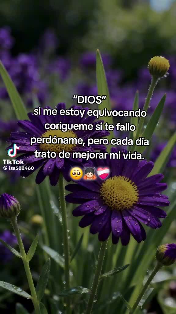 @Ines De Ordóñez
