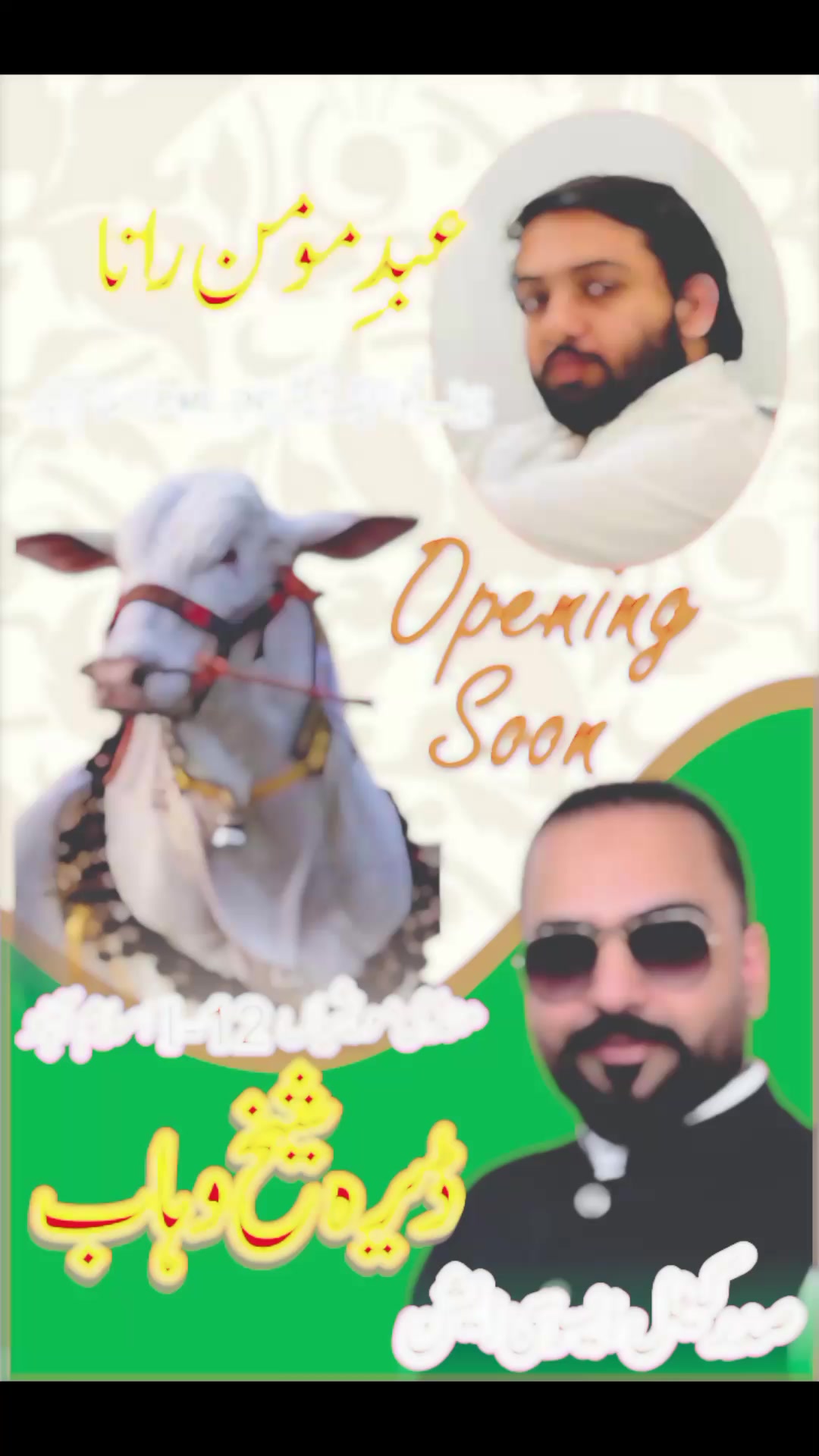 @Abd E Momin Rana