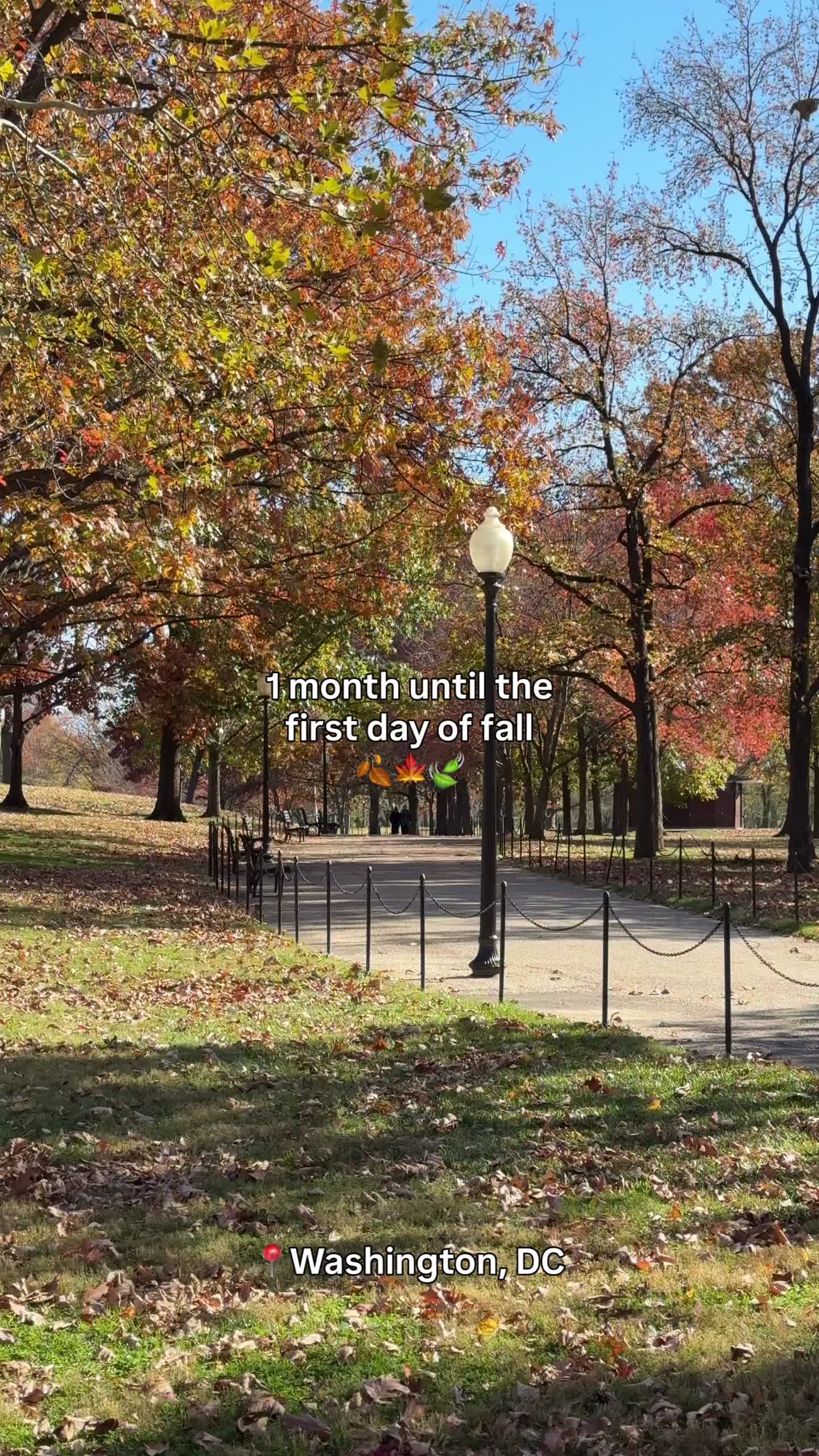 @Visit Washington, DC