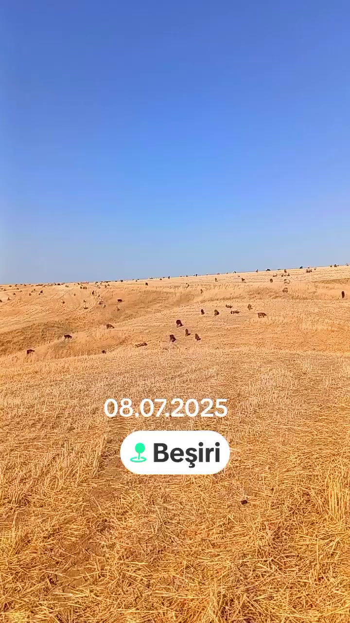 @Eyyüp Demir 72