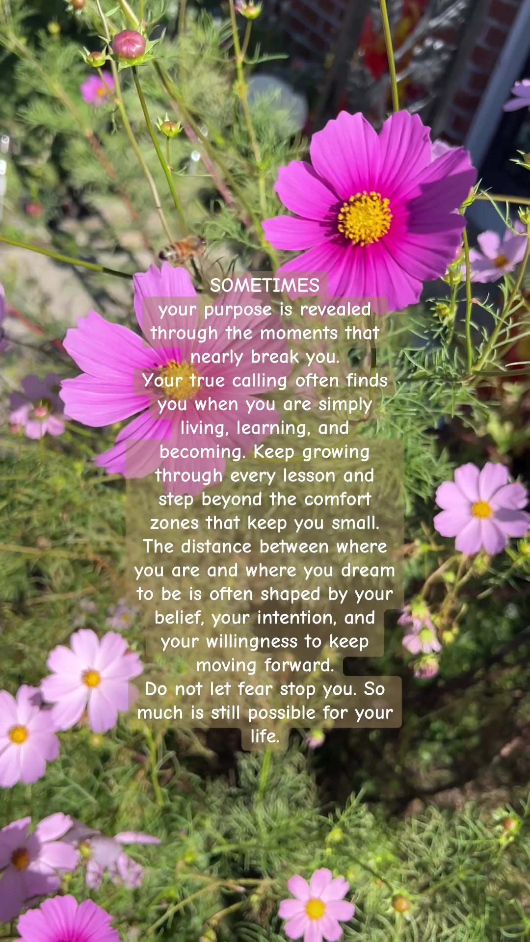 @DeeDee Woodward❤️✨