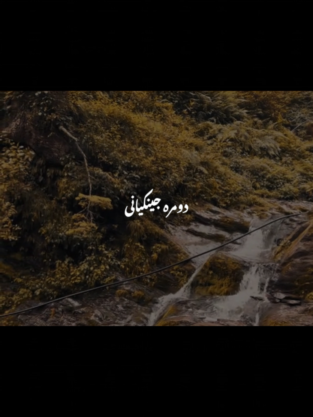 @𝐢𝐓'𝐬 𝐁𝐞𝐞 ~ヅ