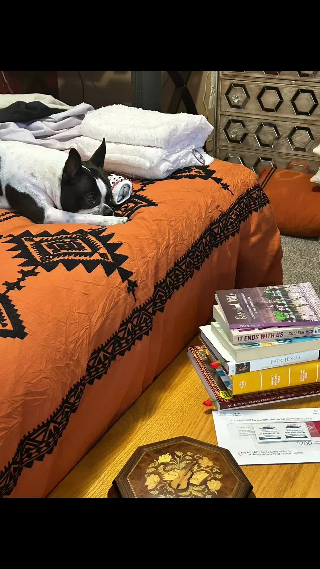 @lynda_satx