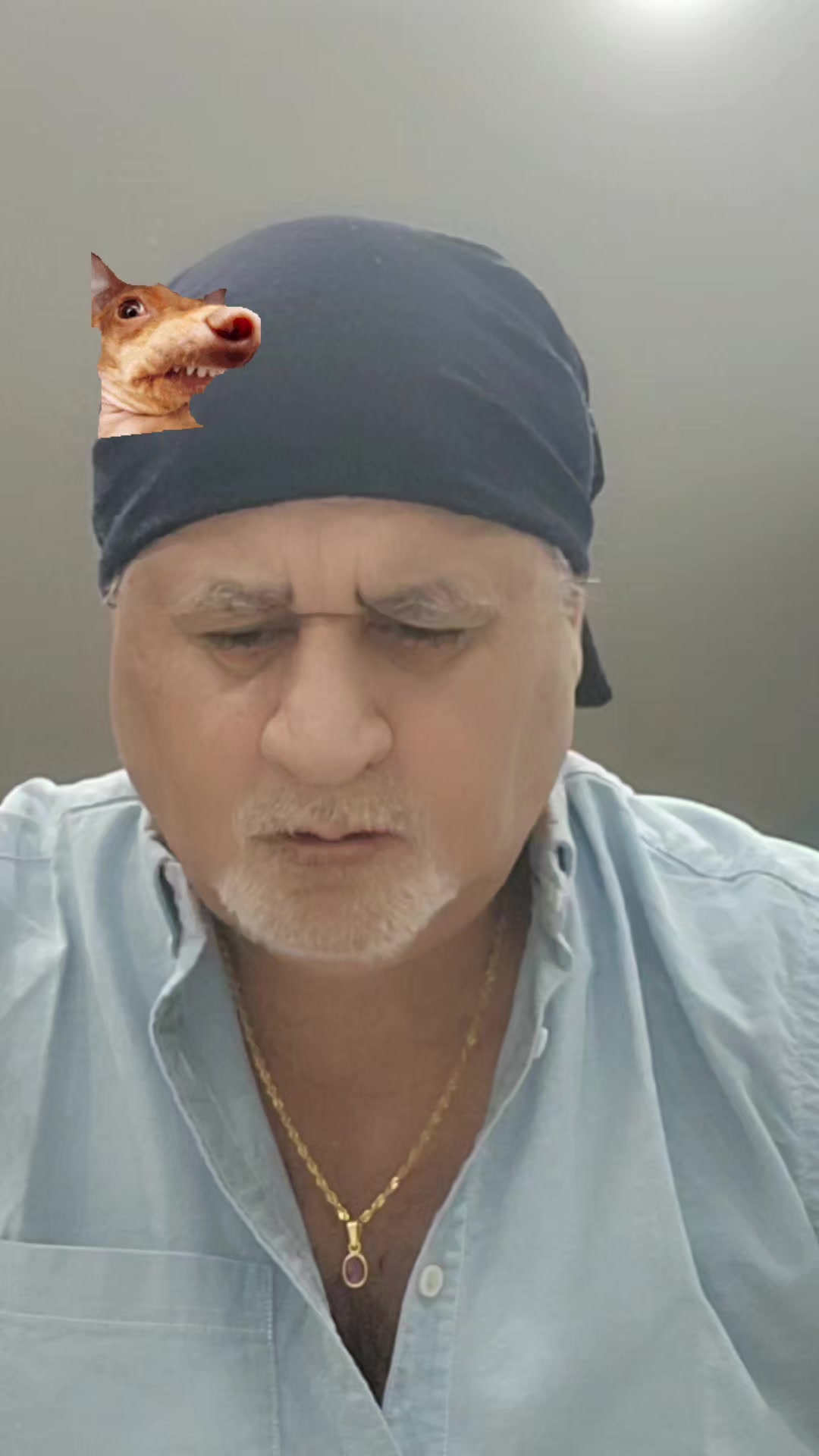 @pritpal.kitoo