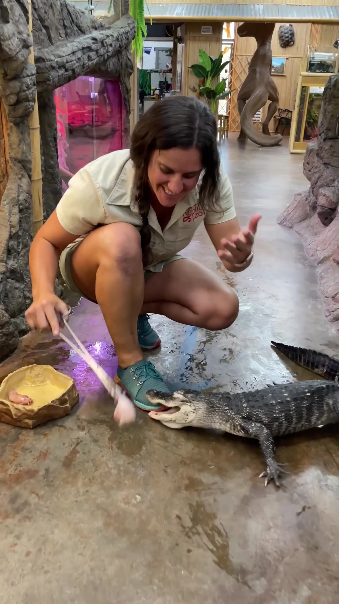 @The Reptile Zoo