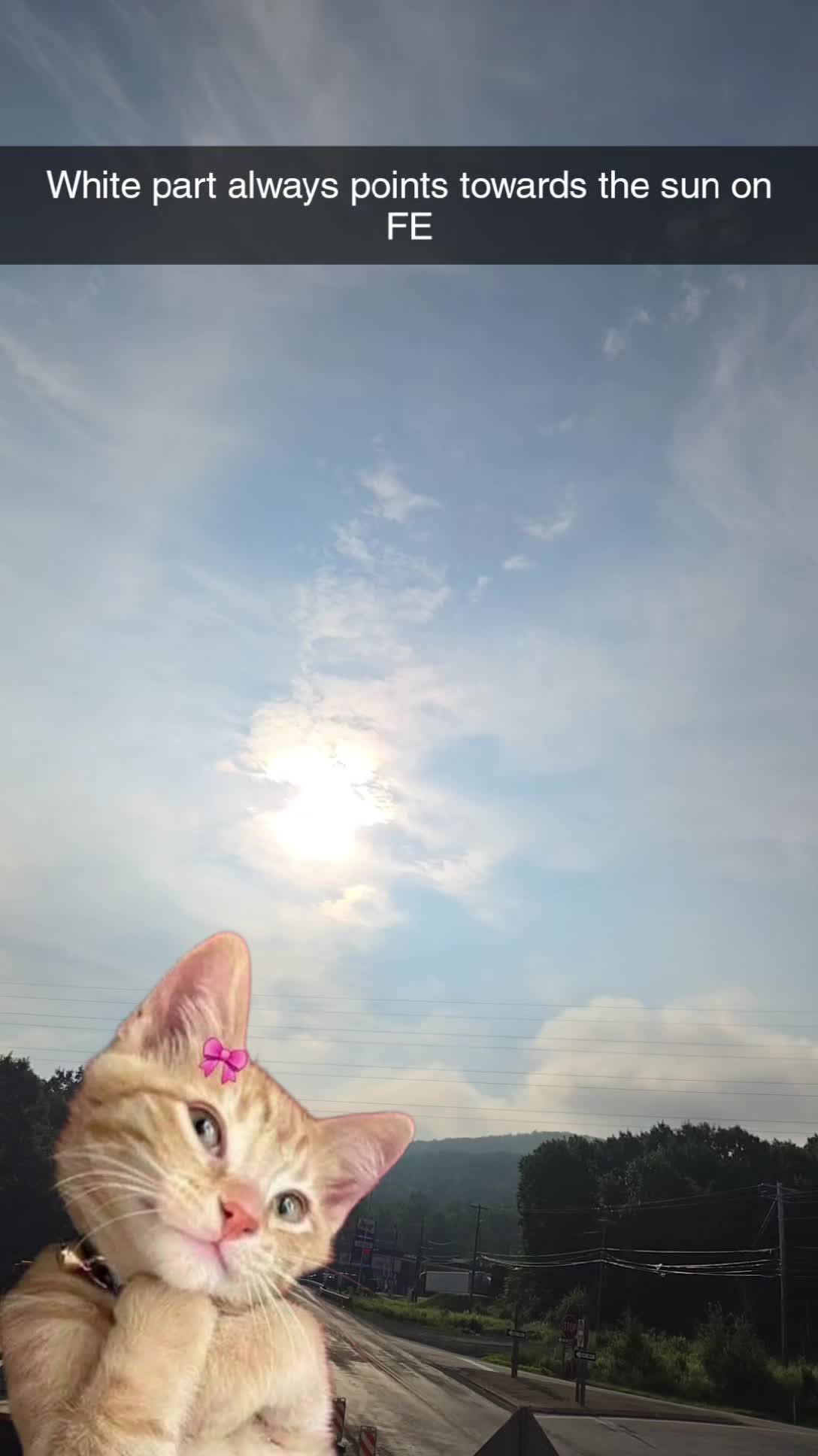 @Beanbagjohnny