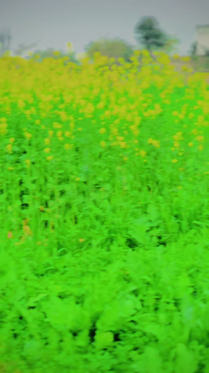 @GujRati MunDa