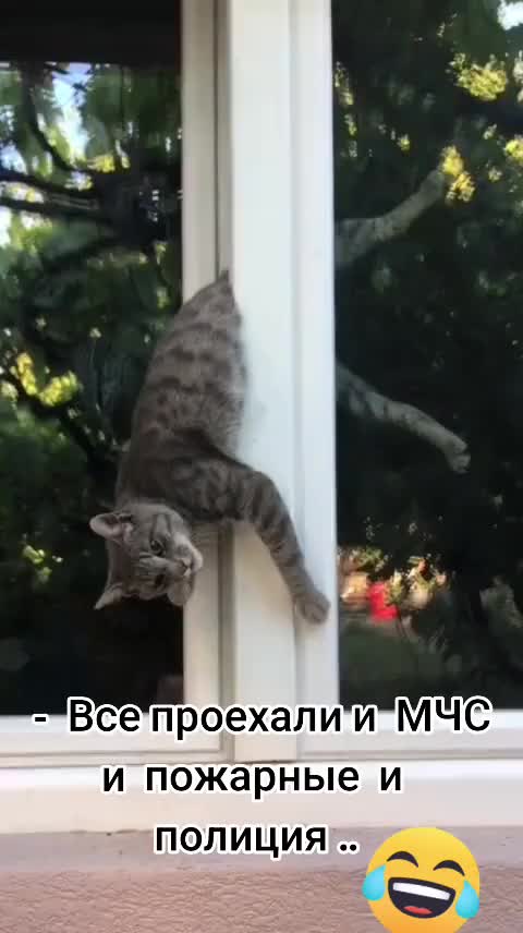 @⭐⭐⭐БАТЯ⭐⭐⭐