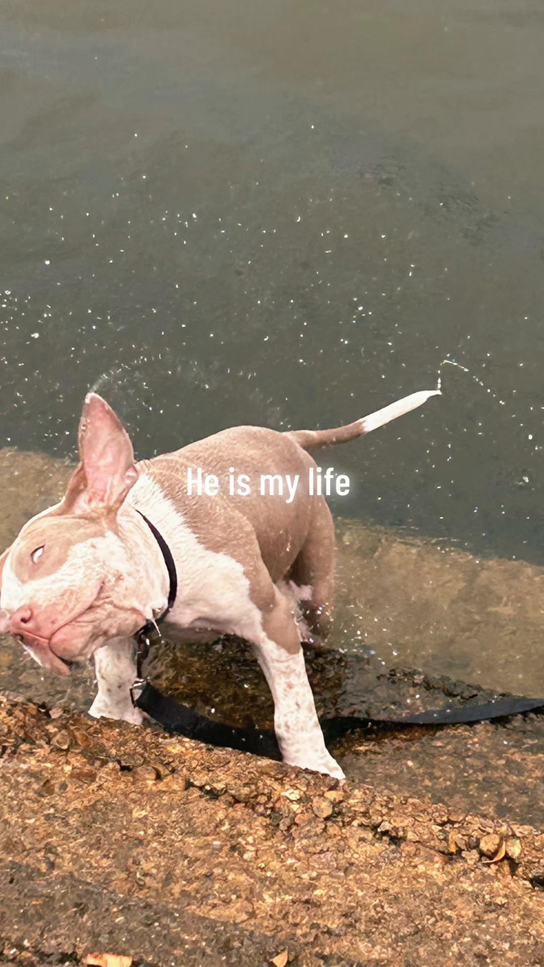 @Lâ_mânîâçâ😈