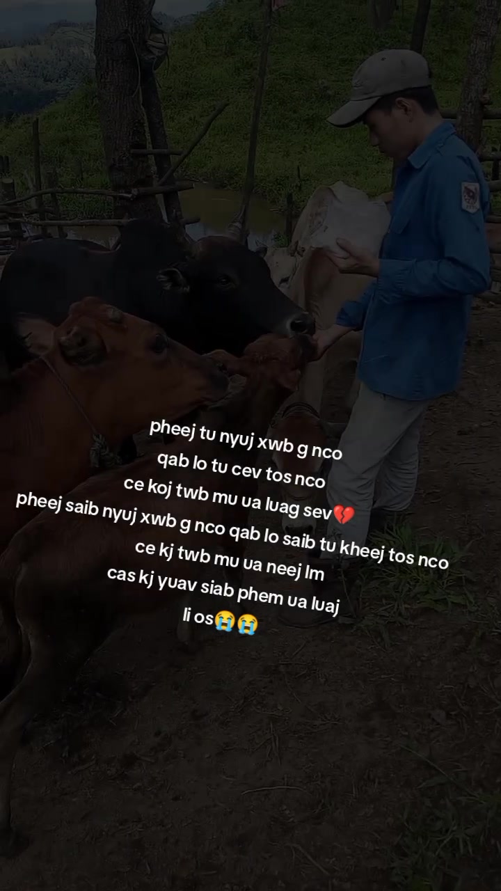 @ceeb