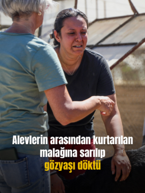 @Mynet
