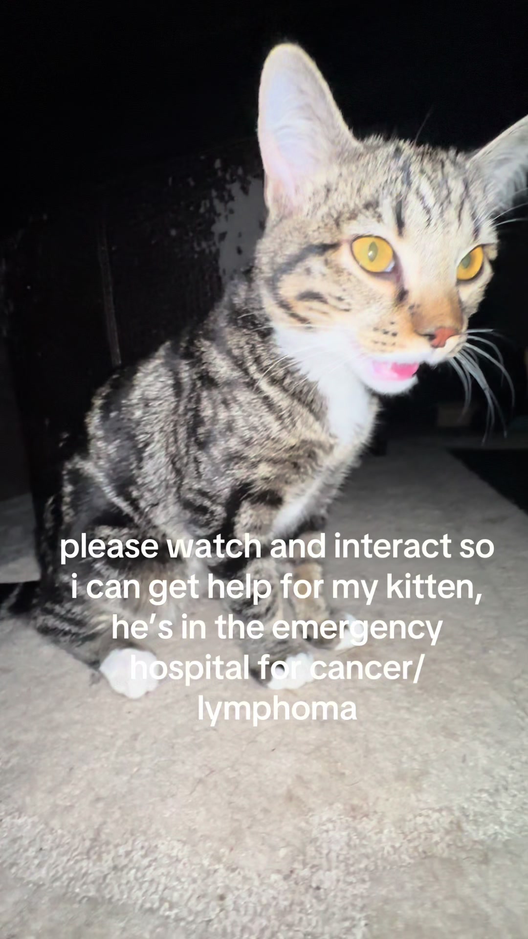 @𓆩♡𓆪 sxtanprincesss.com