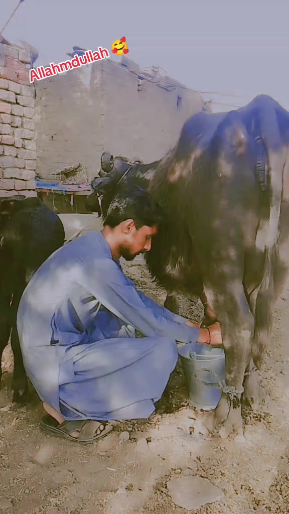 @نوابشاہ❤️کا معصوم لڑکا😔🦅