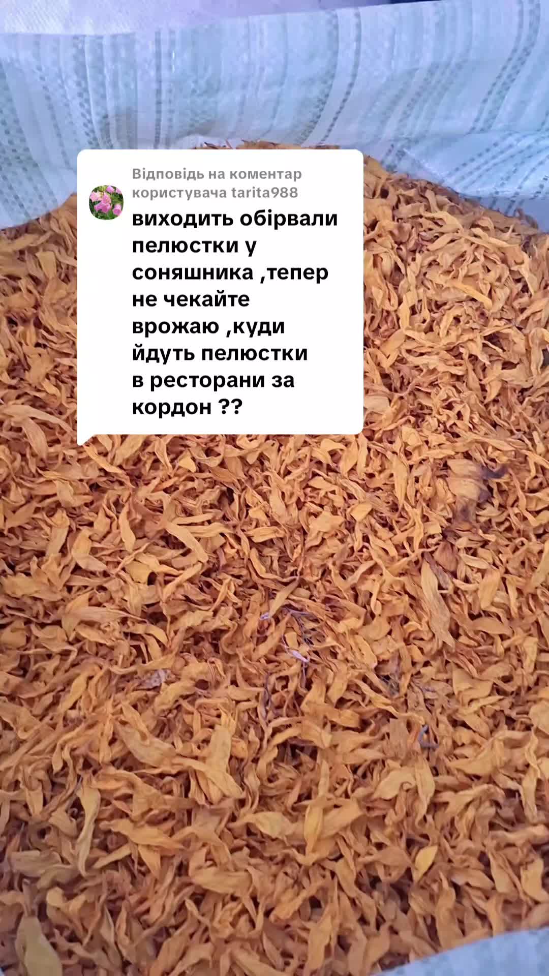 @петрович