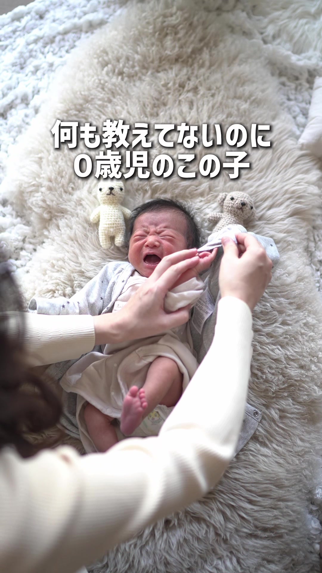 @ZEO家の冒険@YouTube