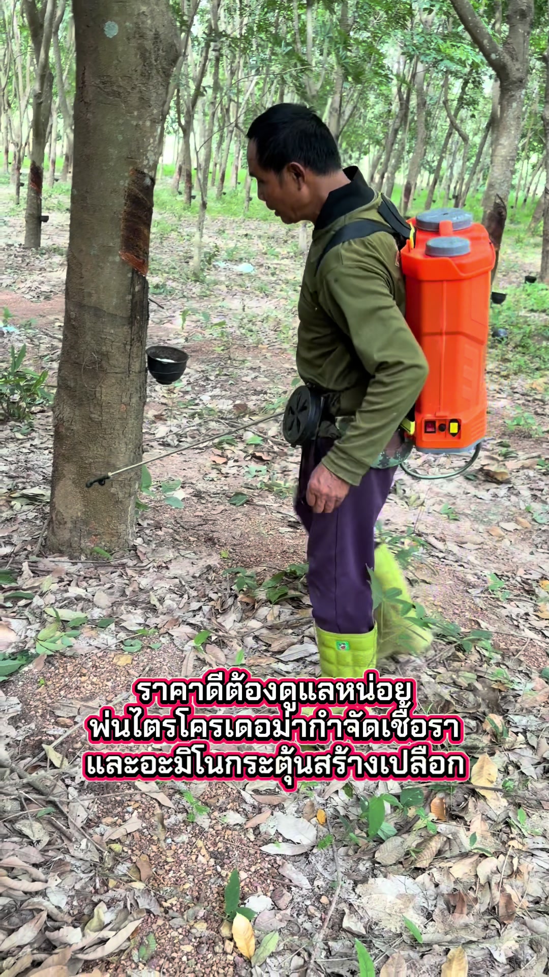 @นัดดาชอป