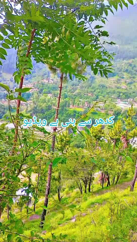 @انجان لڑکی