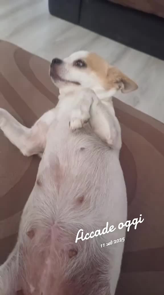 @JESSICA BIFFI💫