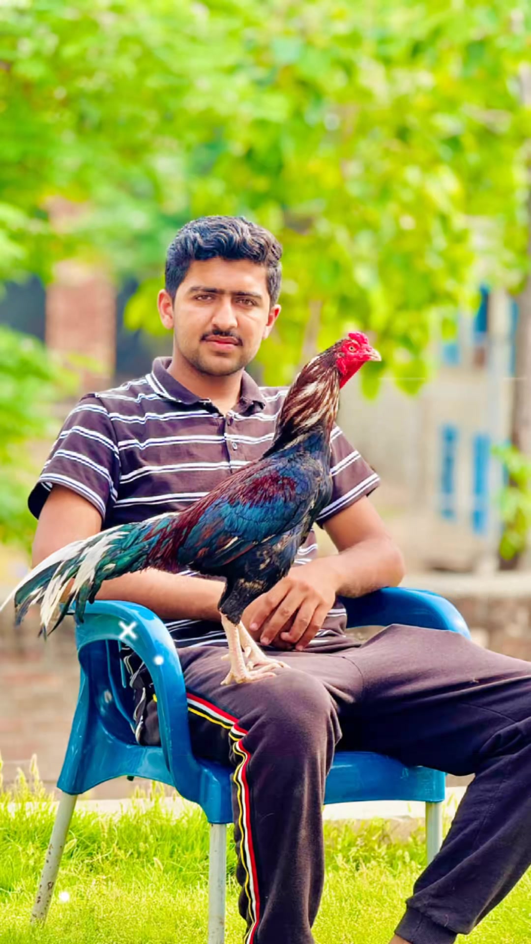 @Aseel 🐓