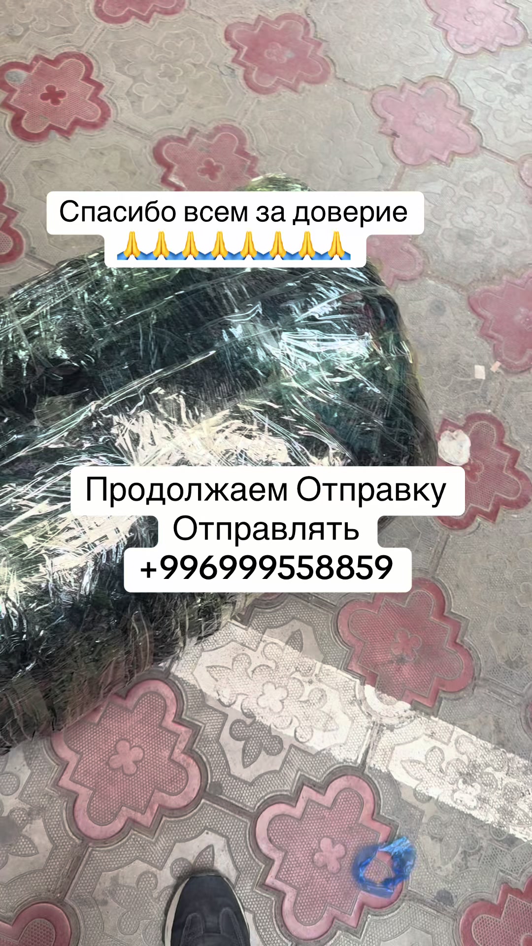 @likabishkek