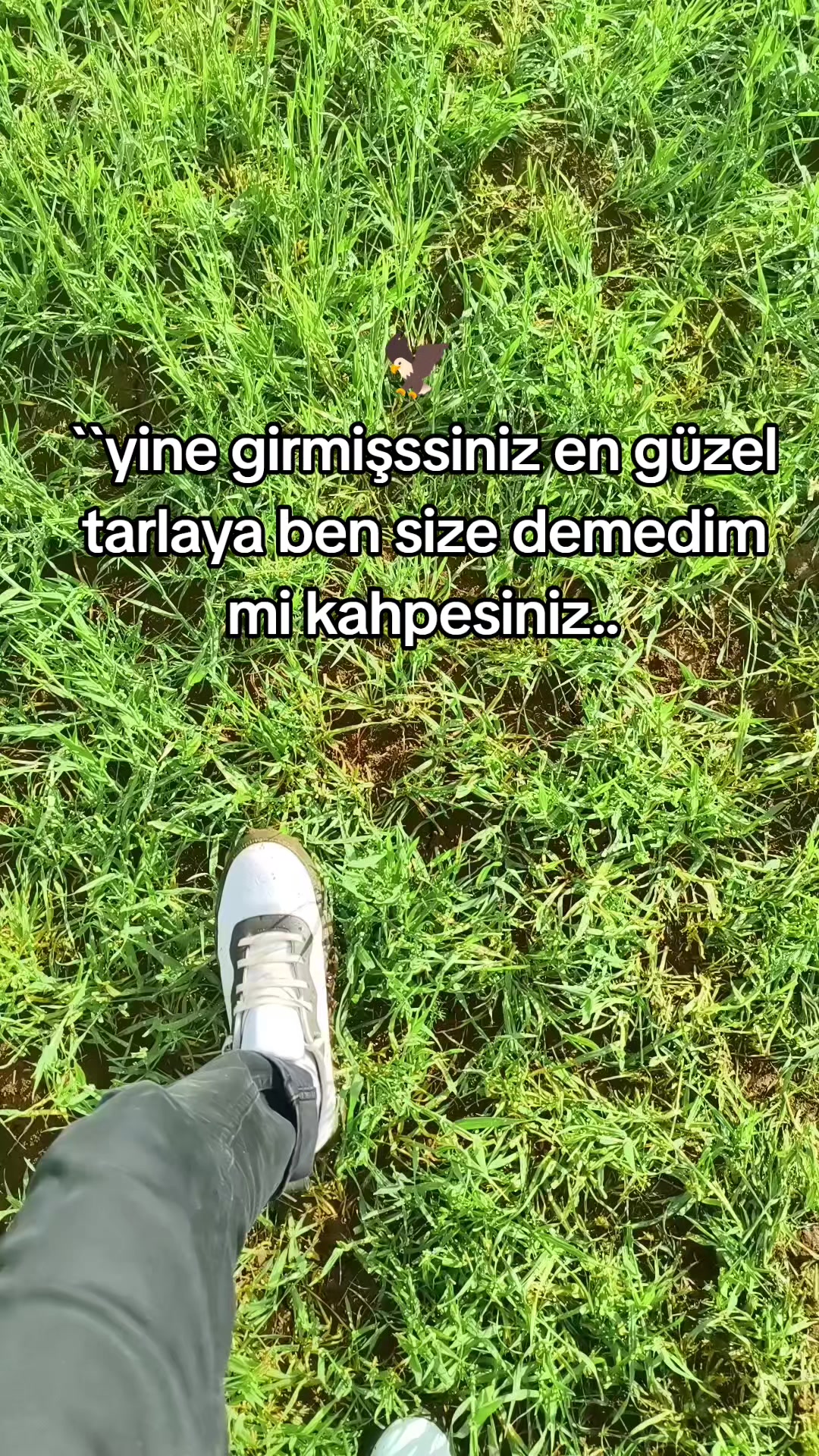@Emrah Ceylan