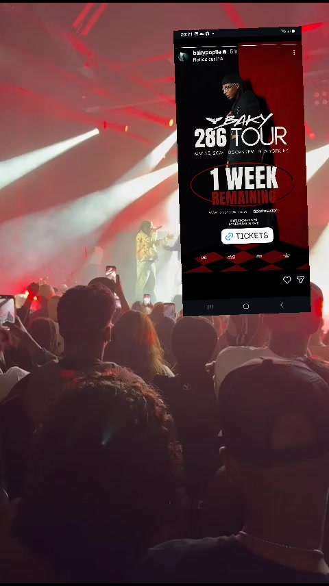 @286promo🤎👑RG🤎🇭🇹