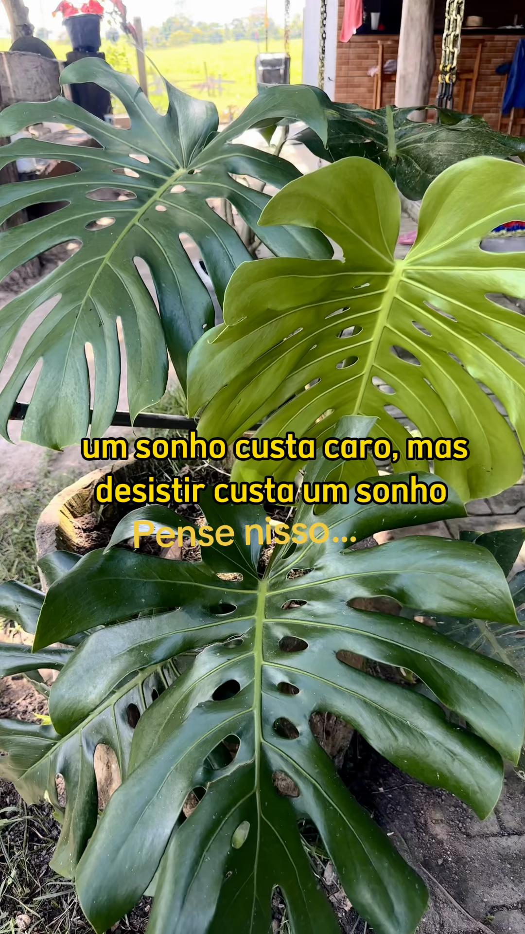 @Roseleide Vieira Lim