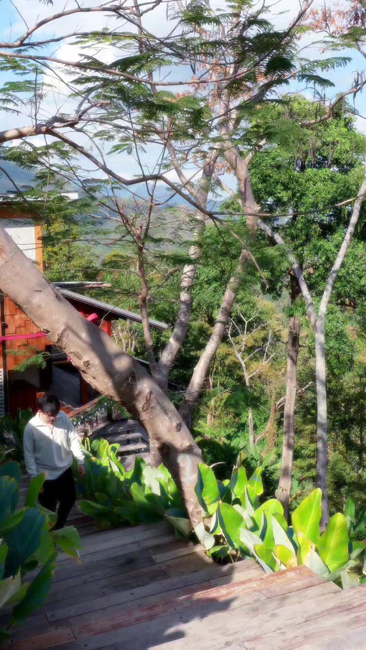 @น้องนิวมีชิวาว้าชื่อคิวซี