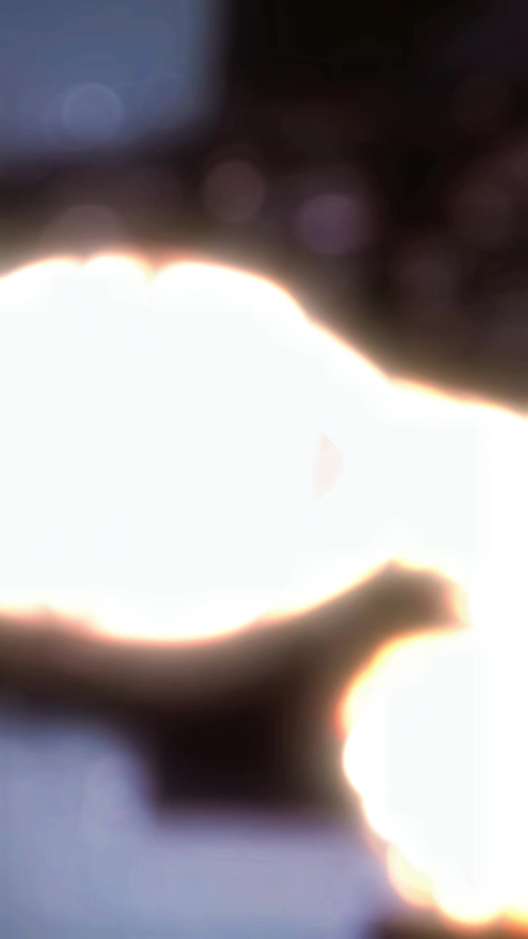 @seyliwa