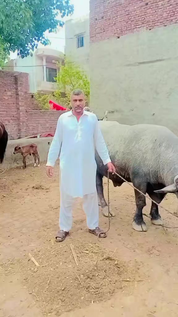 @Imran khan 😎