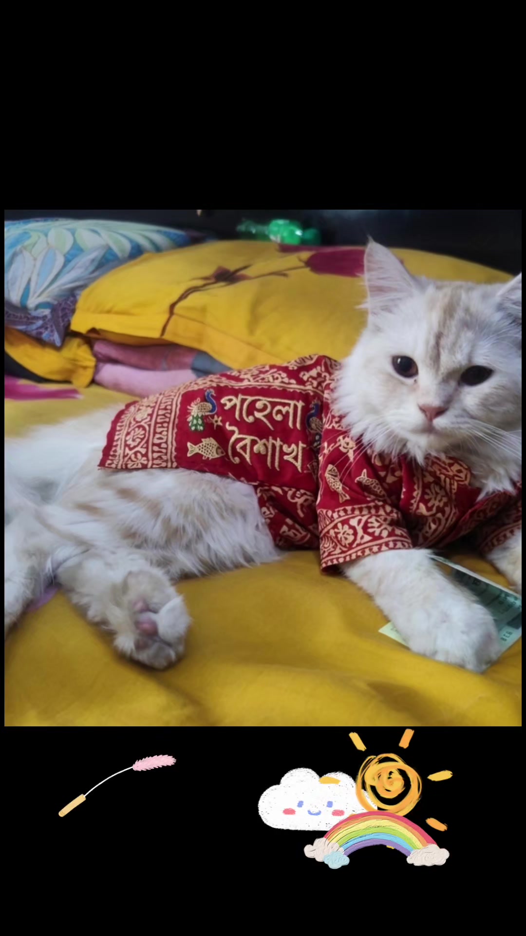 @ROZAR IMRAN