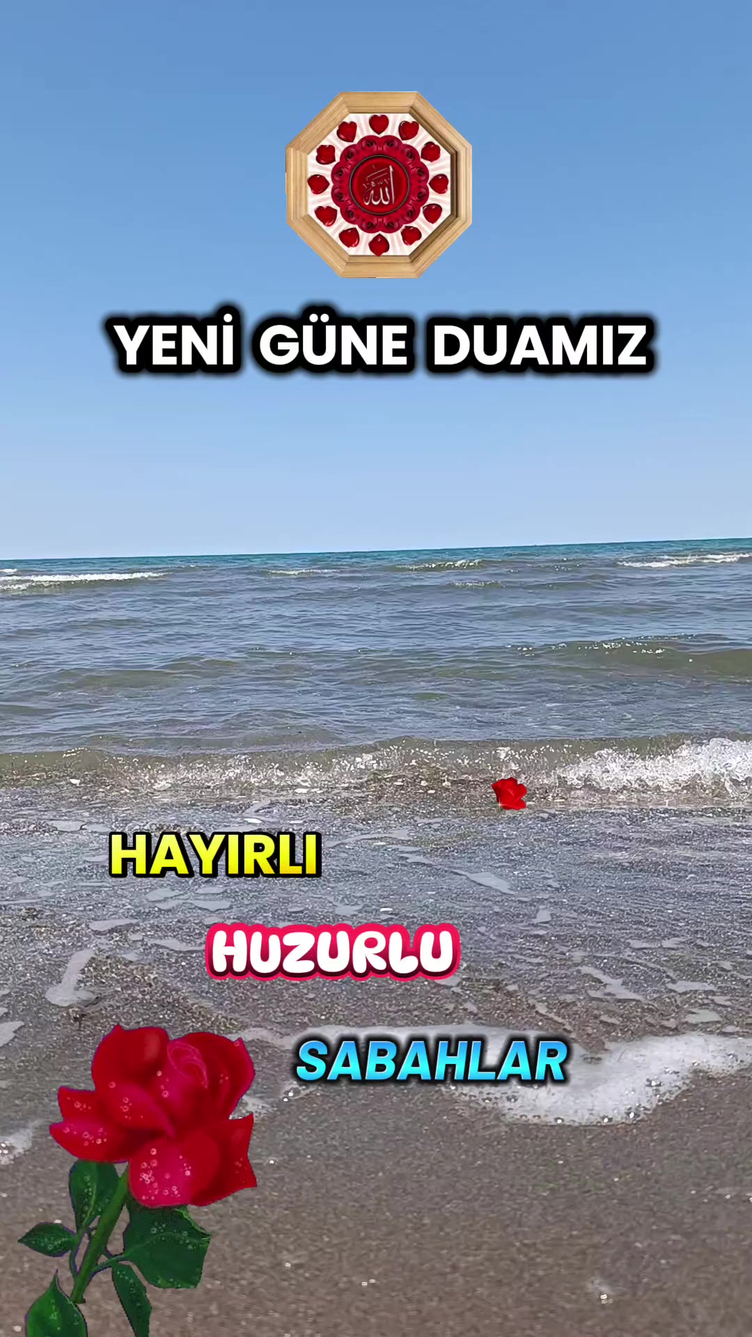 @@hayatsevinceguzel5537