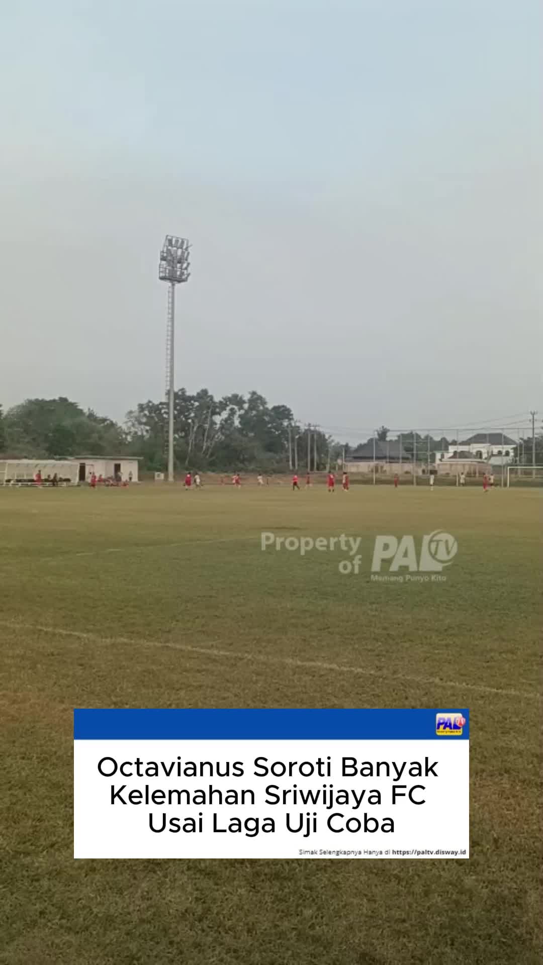 @Paltv-Memang Punyo Kito